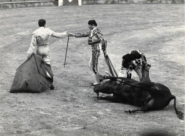 Spagna - Madrid - Las Ventas, arena - Corrida - Tercio de muleta - Toro morto a terra - Torero con muleta e spada - Banderilleros