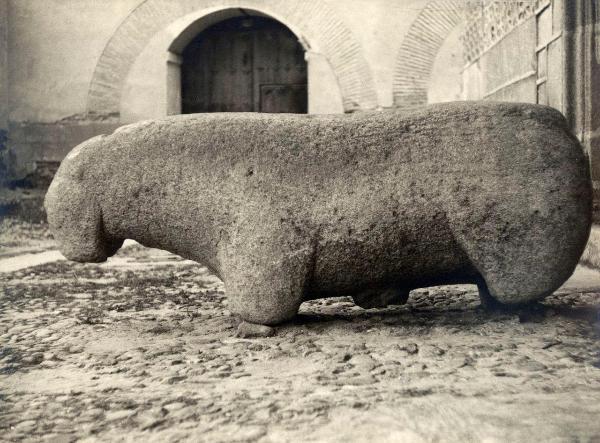 Scultura - Verraco: toro in granito - Spagna - Segovia - Esterno