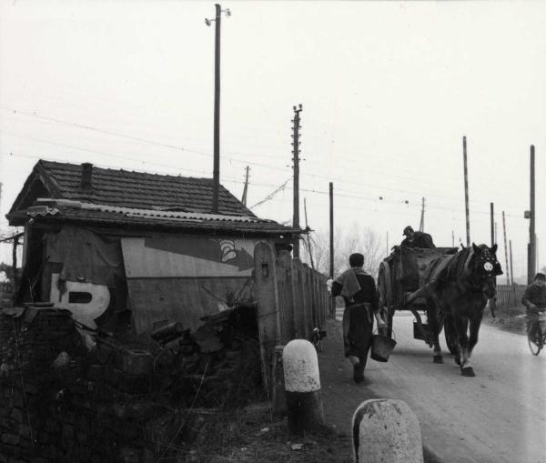 Milano - Veduta urbana animata - cavallo