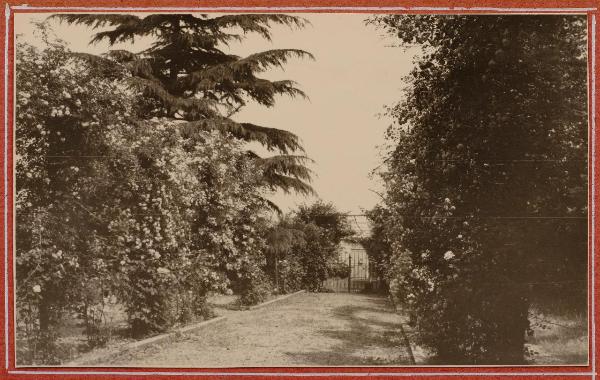 Milano - Pio Istituto dei Sordi in via Prinetti - Giardino - Alberi - Rose in fiore - Viale