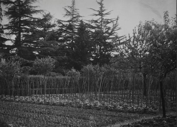 Milano - Pio Istituto dei Sordi in via Prinetti - Esterno - Giardino, orto