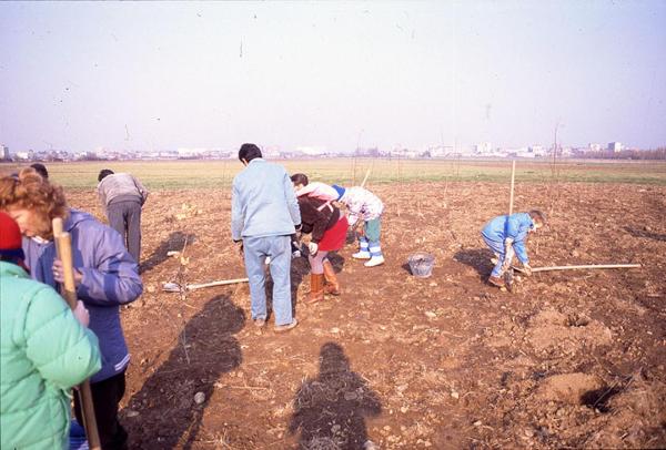 Cinisello Balsamo - Parco Nord, settore Est - Area adiacente alla Cascina Centro Parco - Piantumazione di nuovi alberi in collaborazione con la società sportiva dilettantistica "Il Cigno" - Educazione ambientale