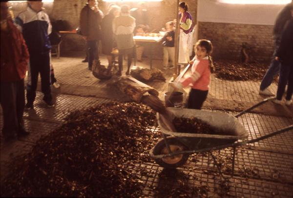 Cinisello Balsamo - Parco Nord, settore Est - Cascina Centro Parco, ala est (ex edificio stalle) prima dei lavori di ristrutturazione - Evento: Festa del Parco - Spazio Bambini - Attività didattica - Educazione ambientale