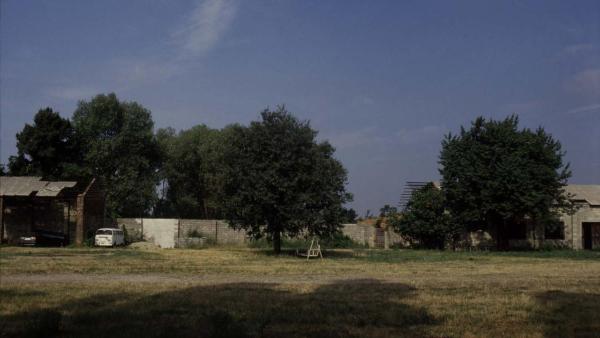 Cinisello Balsamo - Parco Nord, settore Est - Cascina Centro Parco, ala ovest prima dei lavori di ristrutturazione - Cortile interno - Alberi - Area porticata con tetto distrutto - Prato - Automobile e furgone parecheggiati