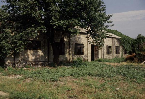 Cinisello Balsamo - Parco Nord, settore Est - Cascina Centro Parco, ala ovest prima dei lavori di ristrutturazione - Albero (ciliegio) nel cortile della cascina