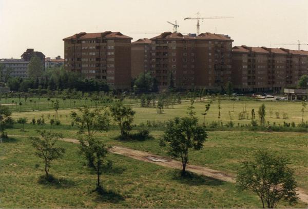 Sesto San Giovanni / Milano - Parco Nord, settore Montagnetta - Prati e filari di alberi di recente piantumazione visti dalla Montagnetta verso l’ingresso al parco di via Suzzani - Sullo sfondo palazzi tra viale Suzzani e viale Fulvio Testi