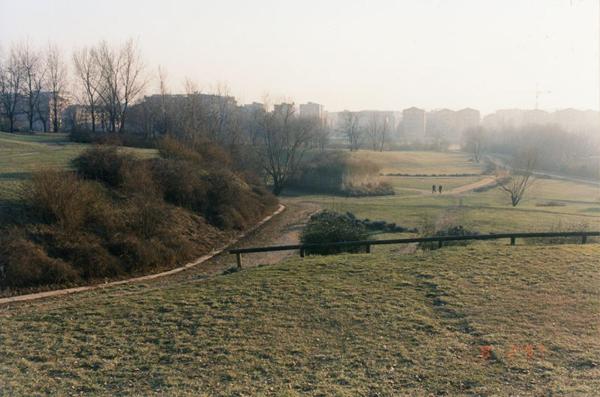 Sesto San Giovanni - Parco Nord, settore Montagnetta - La Montagnetta - Il Cubo - Prati - Alberi - Sullo sfondo palazzi di Milano