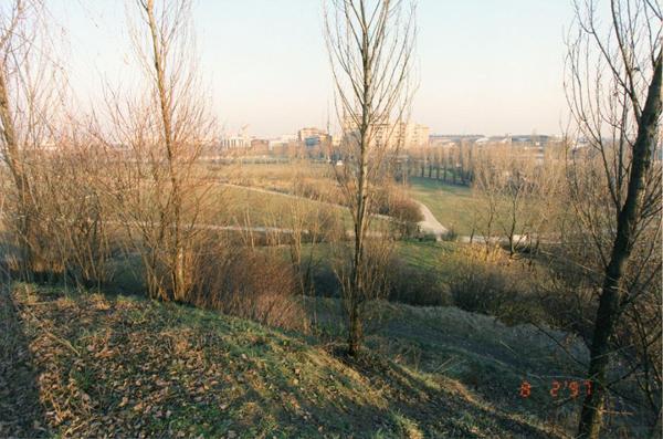 Sesto San Giovanni - Parco Nord, settore Montagnetta - Veduta dalla Montagnetta verso viale Fulvio Testi - Alberi - Filari - Percorso ciclopedonali - Sullo sfondo palazzi di Milano e Sesto San Giovanni