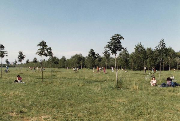 Cinisello Balsamo - Parco Nord, settore Est - Filare Cannocchiale degli ippocastani - Prato - Boschi (primi lotti) - Persone al parco