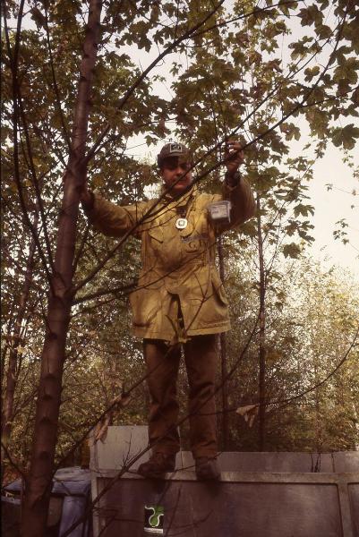 Cinisello Balsamo - Parco Nord, settore Est - Guardia Ecologica Volontaria (Gev) su un albero - Posizionamento di una mangiatoia per uccelli