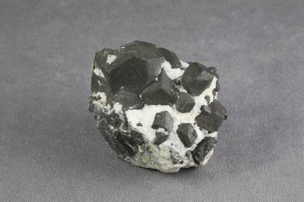 Tetraedrite mercurifera