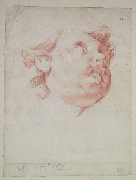 Putto