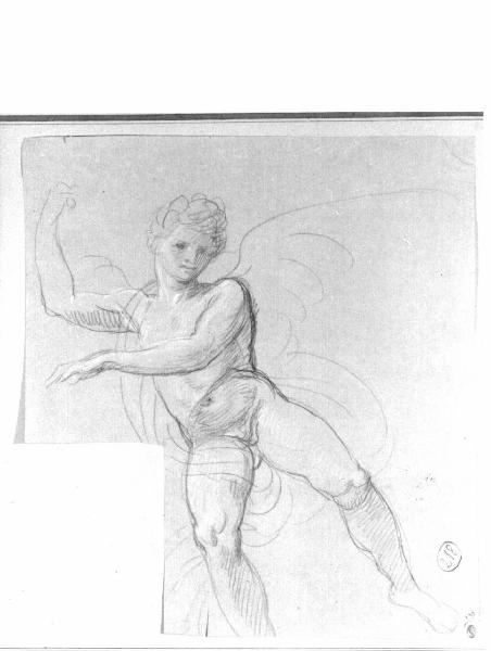 Putto alato