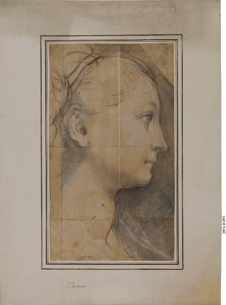 Volto femminile di profilo (studio per la Madonna del Popolo)