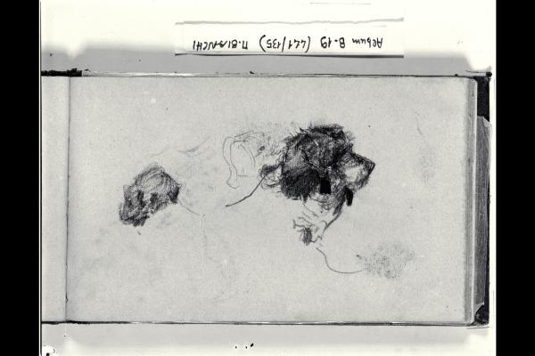 Abbozzo di cane