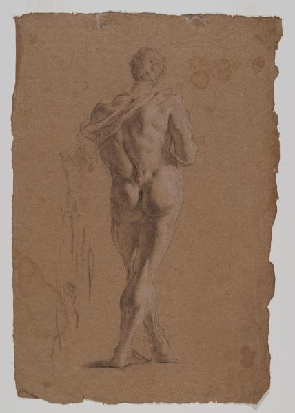 Nudo virile in piedi di schiena