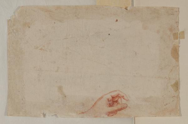 Studio di una mano