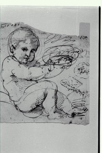 Studio di putto seduto