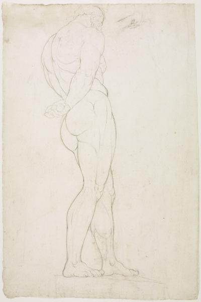 Ercole Farnese (visto da tergo)