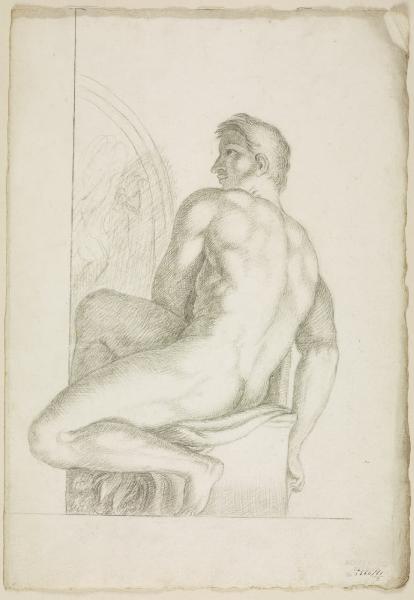 Nudo virile