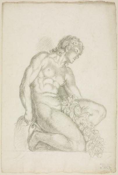 Nudo virile