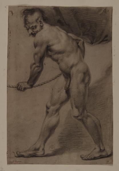 Studio di figura maschile inclinata in avanti in atto di tirare una corda