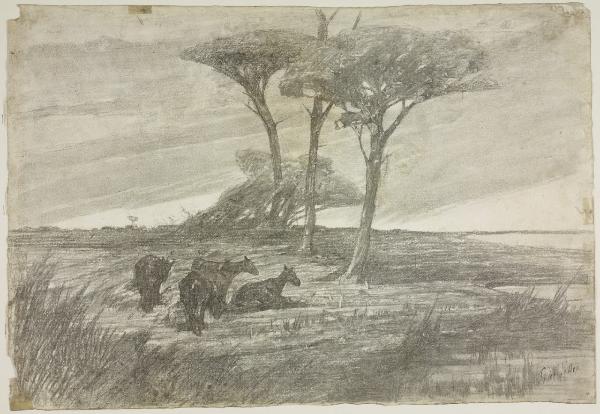 Paesaggio maremmano con cavalli