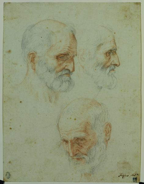 Studi di volto di vecchio