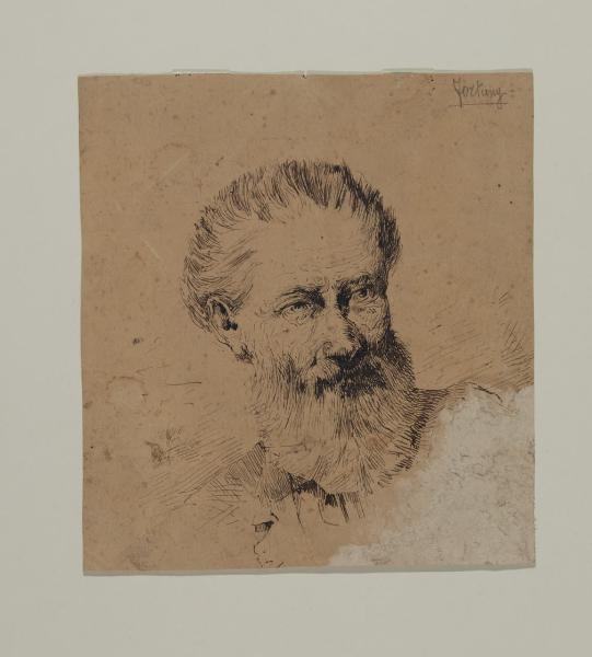 Testa d'uomo barbuto