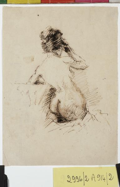 Studio di mezza figura femminile nuda vista posteriormetne