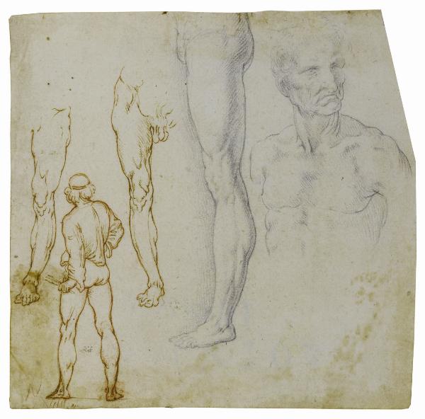Recto: Studi anatomici e di figure. Verso: Studio per iscrizione SALV[A]TOR MVNDI e per un panneggio