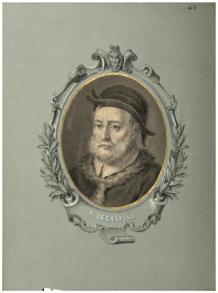 Ritratto di Andrea Cesalpino