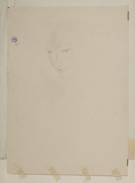 Schizzo di volto femminile