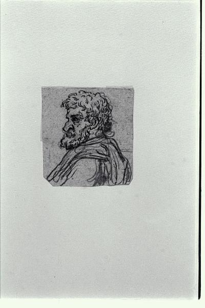Testa di vecchio barbuto di profilo