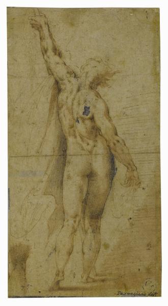 Studio di nudo maschile