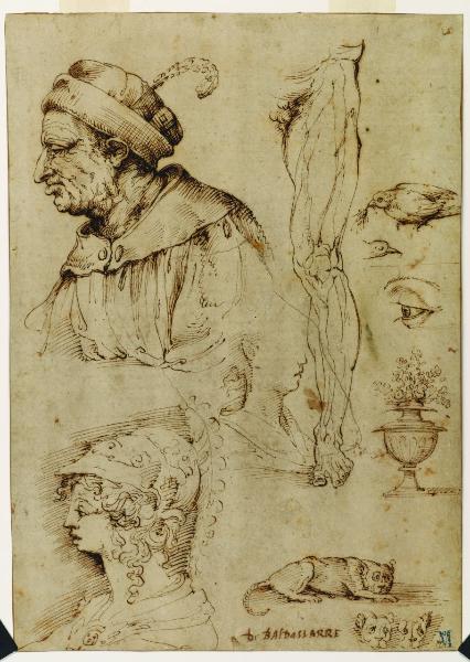 Busto di vecchio con berretto; Studio di volto di giovane; Busto di Minerva; Gamba sinistra; Due studi di colomba; Studio di occhio; Vaso con fiori; Gatto e tre studi di testa dello stesso