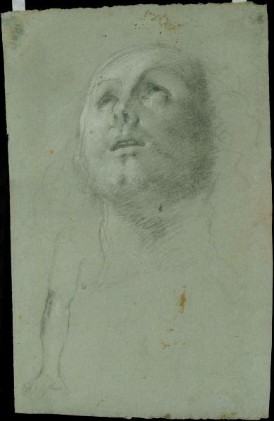 Testa maschile; studio di braccio