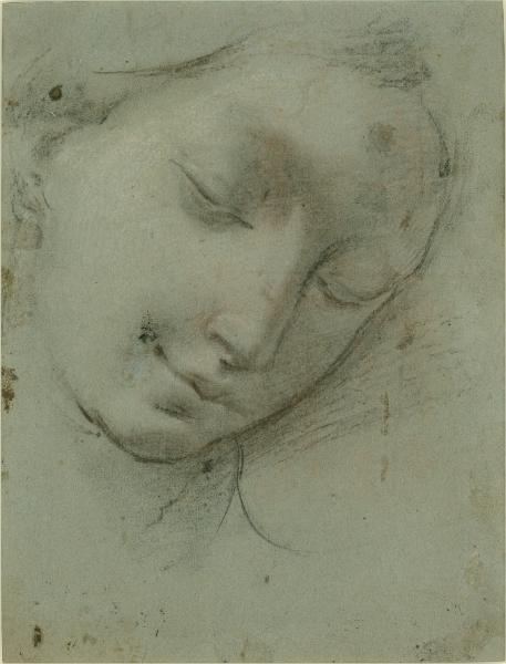 Studio di testa femminile