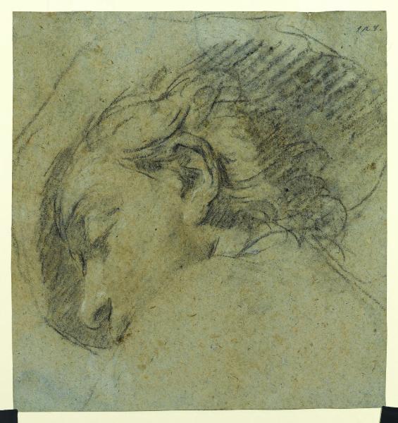 Testa di giovinetto con cappello, visto di profilo (recto)