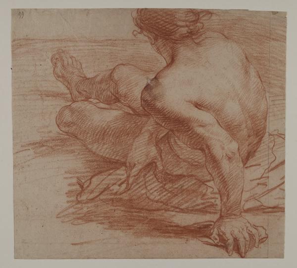 Studio di nudo semisdraiato, visto di schiena