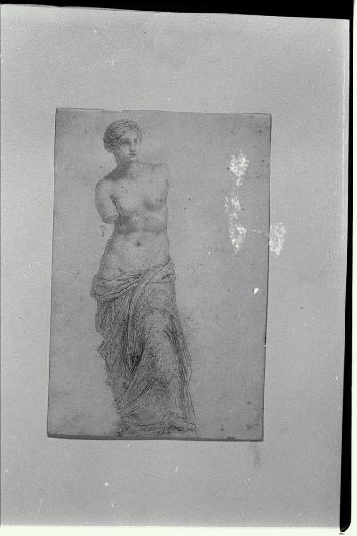 Copia della Venere di Milo