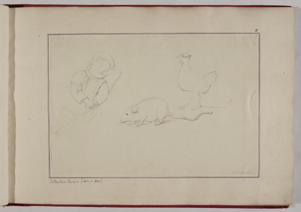 Studi di un bambino addormentato, una gallina e un topo