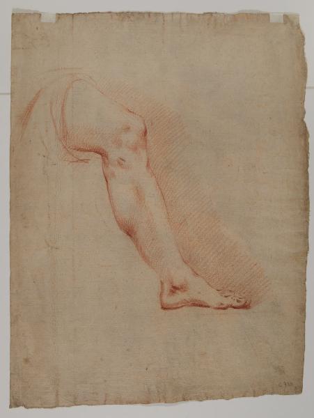 Studio di una gamba (verso)