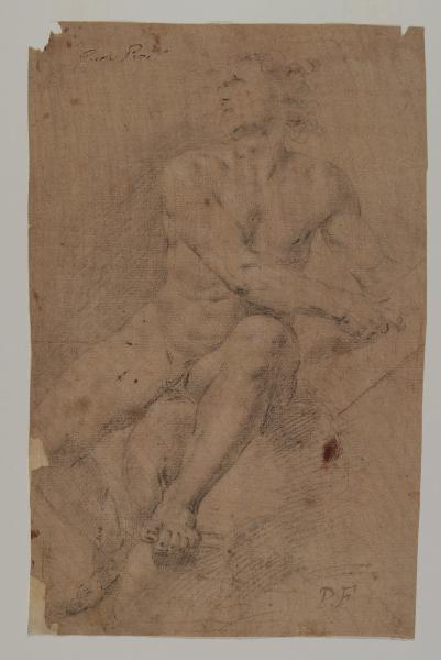Studio di nudo virile