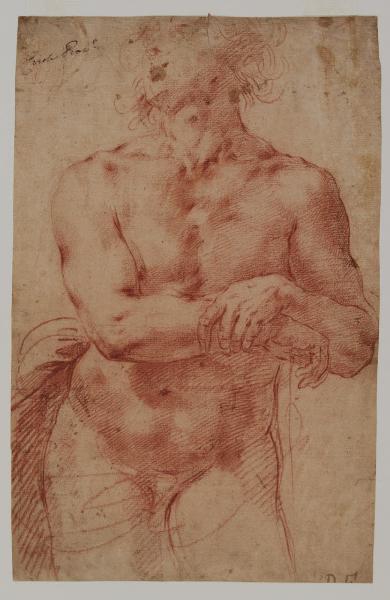 Studio di nudo maschile