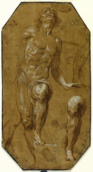 Figura virile nuda con dettagli della gamba