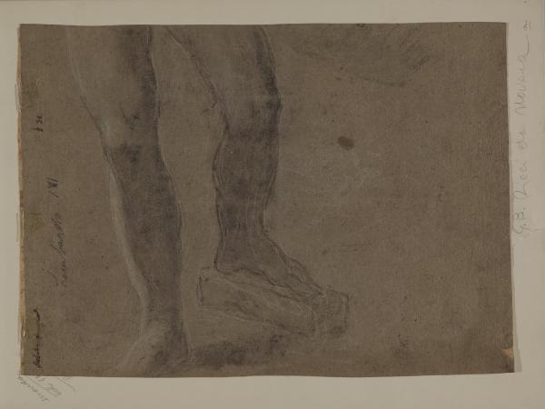 Studio di gambe