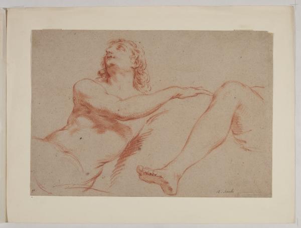 Studio di mezza figura maschile nuda e di una gamba
