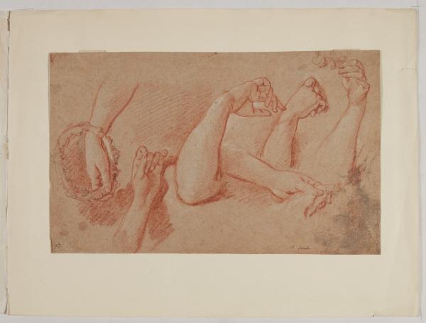 Studio di braccia femminili