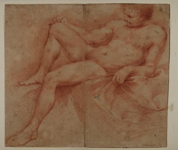 Studio di nudo maschile